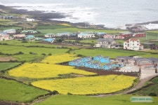 유채꽃큰잔치 우도여행코스