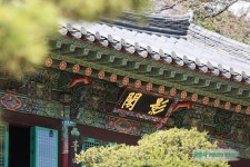 서울 가볼만한곳 삼성동 봉은사