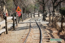 일상 탈출을 위한 여행지~~ 가평 남이섬