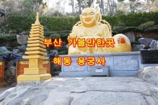 부산 가볼만한곳 소원을 들어준다는 해동 용궁사
