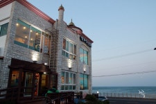 제주도 맛집 고급스러운 구문쟁이회를 먹다. 삼다도횟집 본점