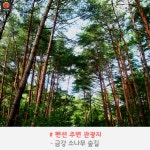 [어디갈까] 바다가 보이는 펜션 여행~!