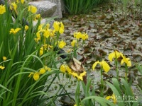 당진 아그로랜드, 체험거리가 많아요