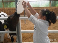 당진 아그로랜드, 체험거리가 많아요