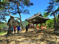영월 가볼만한곳, 영월 요선정, 요선암, 영월펜션 해질녘강물소리 [영월여행]