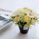 꽃 정기구독 _ WEDNES