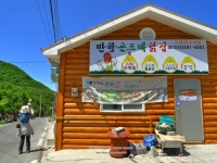 만항재 천상의 화원에서 취하고 만항곤드레닭집에 취하고 [영월여행,정선여행]