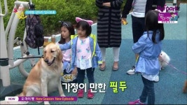 오마이펫 김대희 딸들 옷 컬리수 정보^^