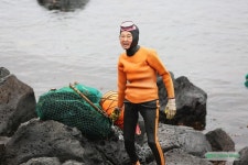 제주도 숨은 비경 : 하귀2리 해녀와 성게