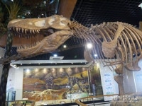 안면도 쥬라기 박물관, 생생한 공룡의 모습 보며 유익한 시간 보냈어요^▽^