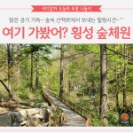 [어디갈까] 여기 가봤어? 횡성 숲체원~!
