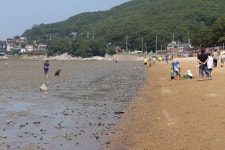 [인천 강화도] 동막해수욕장 갯벌체험. 그냥저냥;;;;