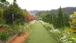 [태안여행] 몽산포해수욕장 & 근처 가볼만한곳 팜카밀레허브농원