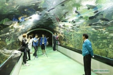 일산 가볼만한곳/일산데이트코스? 가족나들이? 일산 아쿠아플라넷