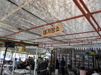 춘천맛집추천 옛터숯불닭갈비 양념 닭갈비가 진짜 맛있네요! 숯불에서 지글지글~~