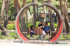 노곤함을 느낄때는 공원 산책이 보약 / 서울 강북 가볼만한곳 솔밭그린공원