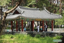 노곤함을 느낄때는 공원 산책이 보약 / 서울 강북 가볼만한곳 솔밭그린공원