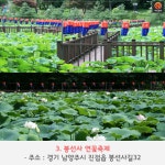 [어디갈까] 한여름에 떠나는 연꽃여행~! 전국 연꽃 군락지