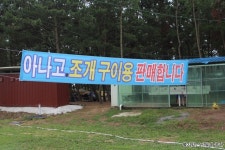 1박 2일 태안 몽산포오션캠핑장에서 행복충전하고 왔답니다.