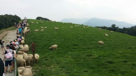 첫돌맞이 드림~♡