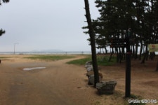 1박 2일 태안 몽산포오션캠핑장에서 행복충전하고 왔답니다.