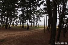 1박 2일 태안 몽산포오션캠핑장에서 행복충전하고 왔답니다.