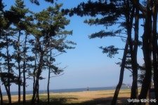 1박 2일 태안 몽산포오션캠핑장에서 행복충전하고 왔답니다.