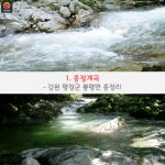 [어디갈까] 시원하게 떠나는 계곡여행~! 강원편