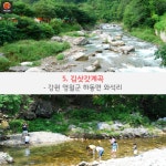 [어디갈까] 시원하게 떠나는 계곡여행~! 강원편