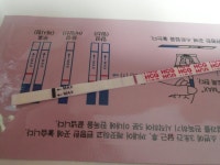 이식 7일째