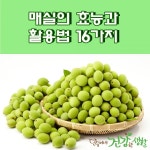 매실의 효능과 활용법 16가지