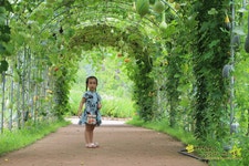 화성 가볼만한곳 화성시 우리꽃 식물원에 다녀옴~