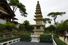 서울 성북동 길상사 꽃나들이!--- 가을꽃