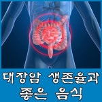 대장암3기생존율과 대장암 수술후 좋은 음식