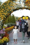 대전축제 유림공원 국화축제 볼거리!!