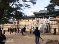 초등한국사전집 삼국유사^^ 불국사, 석굴암을 지은 배경은???