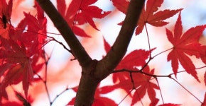 서천호 소풍갈만한 곳 추천!