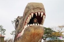 *아이와 가볼만한곳* 공룡박물관-안면도 쥬라기 박물관