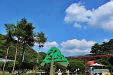 충청북도 보은여행 속리산 가볼만한곳 솔향공원