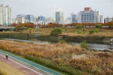 걷고 달리고 산책하기 좋은 안양천 서울둘레길!