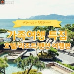 [어디갈까 기획 가족여행 특집] 가족 주말여행/호텔,리조트,펜션 여행편