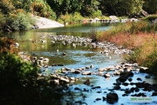 일년만의 외출! 아침고요수목원과 청평계곡 다리유원지