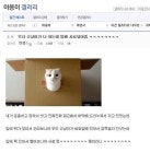 고양이의 보은