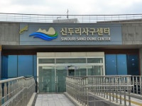 표범장지뱀을 찾아라!! 신두리해안사구 태안해안국립공원 in 태안여행가볼만한곳