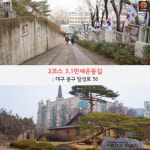 [어디갈까] 구석구석 대구 골목투어 떠나볼까~!?