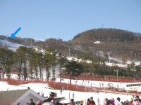 서울 근교라 편리한 지산리조트 강습과 렌탈샵@ 날아라 슈퍼보드