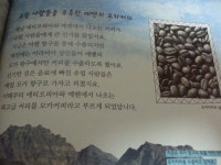 쫑알이 세계문화로 떠나는 세계여행~~~
