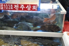 노량진수산시장 전주상회