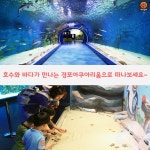 [어디갈가 추천나들이] 강원도 새로운 여행지~! 경포아쿠아리움~!