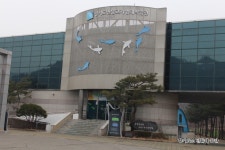 양평 딸기체험 숲속의 명품마을 다녀왔어요.